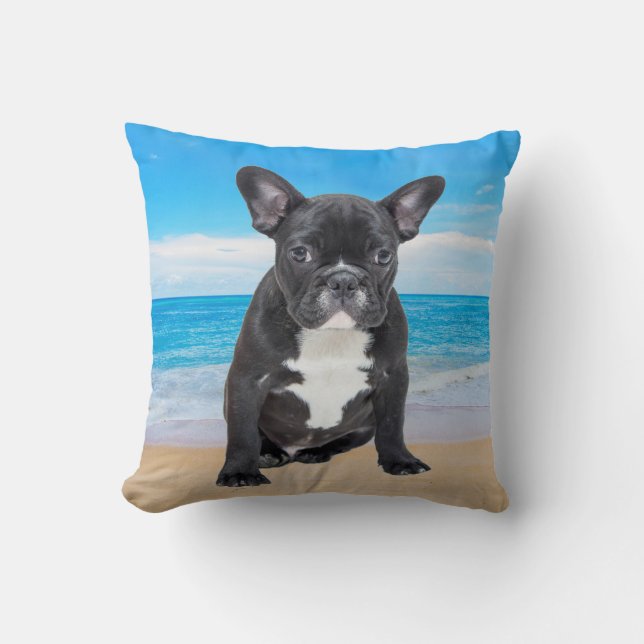 French Bulldog Sitting On Beach Cushion (Front)