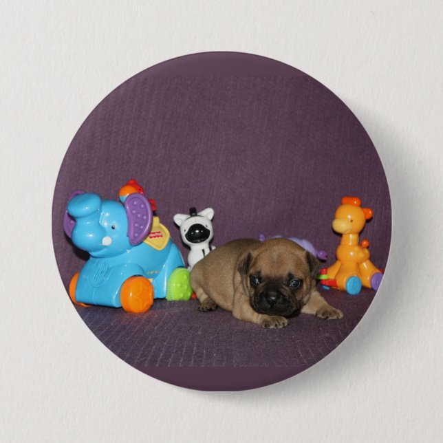 French Bulldog small puppy Bulldog 7.5 Cm Round Badge (Front)