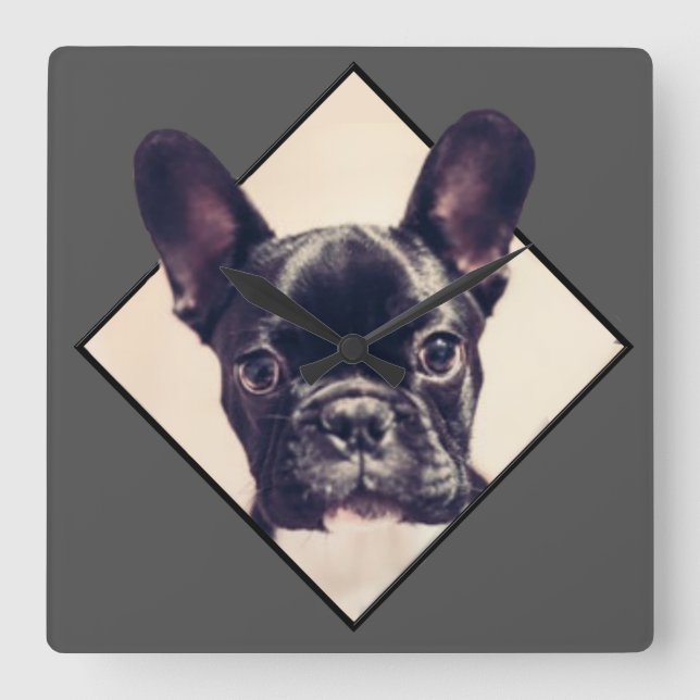 French Bulldog small square wall clock (Front)
