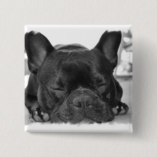 French Bulldog Square Pin