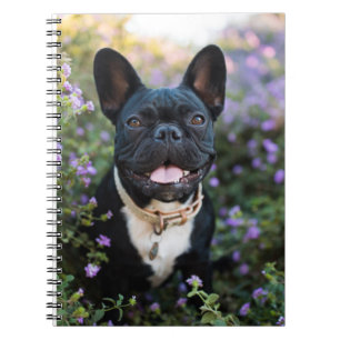 French Bulldog Stands in Flowers Notebook