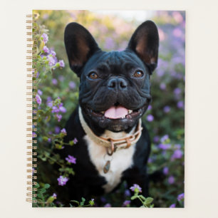 French Bulldog Stands in Flowers Planner