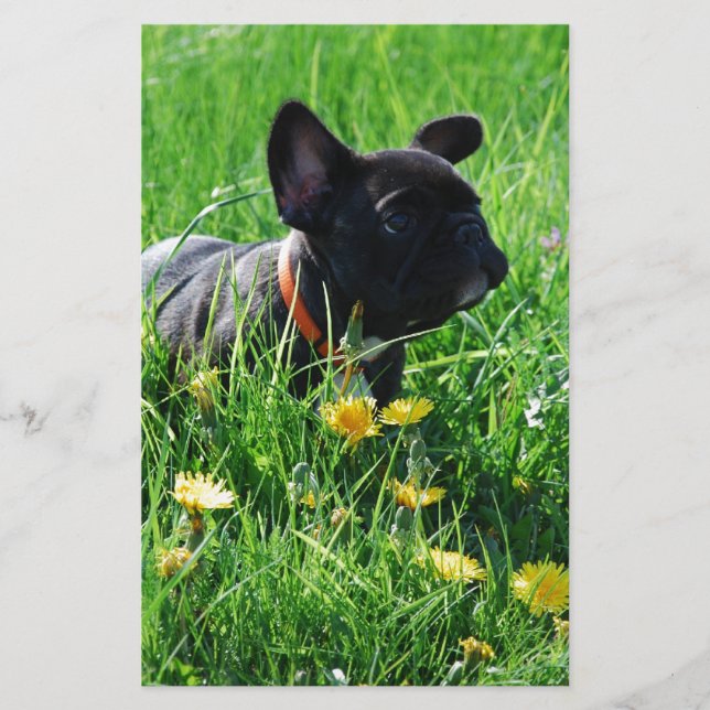 French Bulldog stationery (Front)