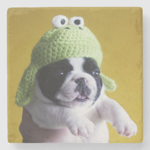 French Bulldog Stone Coaster