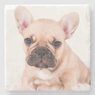 French Bulldog Stone Coaster