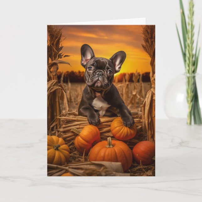 French Bulldog Thanksgiving Holiday Card (Front)