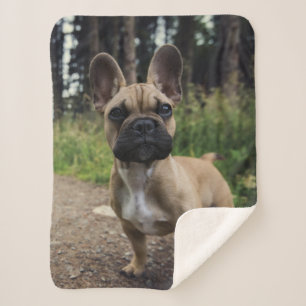 French Bulldog Throw Pillow