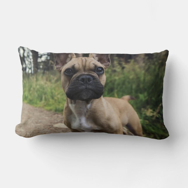 French Bulldog Throw Pillow (Front)