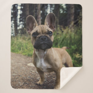 French Bulldog Throw Pillow