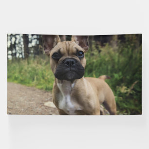 French Bulldog Throw Pillow Banner