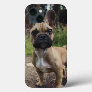 French Bulldog Throw Pillow iPhone 13 Case
