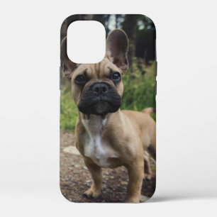 French Bulldog Throw Pillow iPhone 12 Mini Case