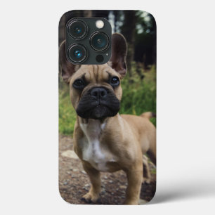 French Bulldog Throw Pillow iPhone 13 Pro Case