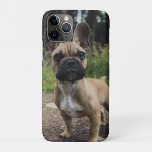 French Bulldog Throw Pillow iPhone 11 Pro Case