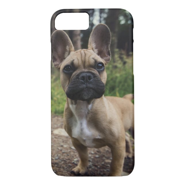 French Bulldog Throw Pillow Case-Mate iPhone Case (Back)