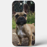 French Bulldog Throw Pillow