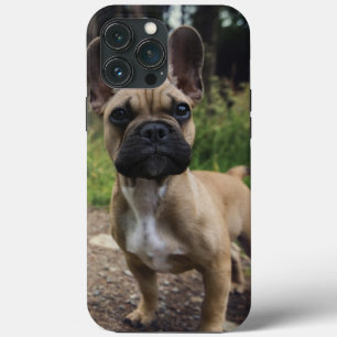French Bulldog Throw Pillow iPhone 13 Pro Max Case