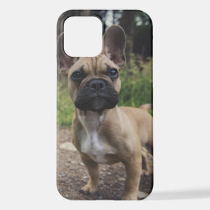 French Bulldog Throw Pillow iPhone 12 Case