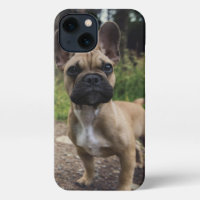 French Bulldog Throw Pillow