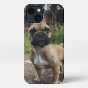 French Bulldog Throw Pillow iPhone 13 Case