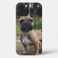 French Bulldog Throw Pillow