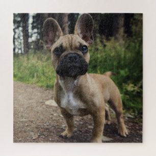 French Bulldog Throw Pillow Jigsaw Puzzle