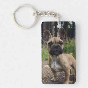 French Bulldog Throw Pillow Key Ring