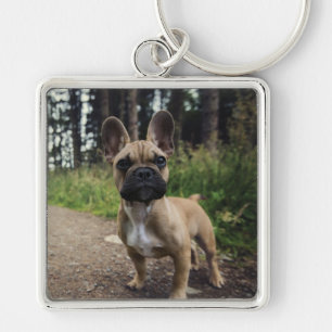French Bulldog Throw Pillow Key Ring