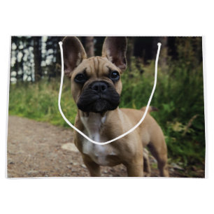 French Bulldog Throw Pillow Large Gift Bag