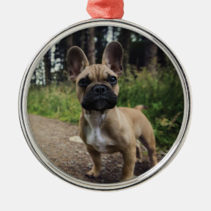 French Bulldog Throw Pillow Metal Ornament