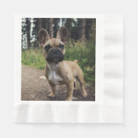 French Bulldog Throw Pillow