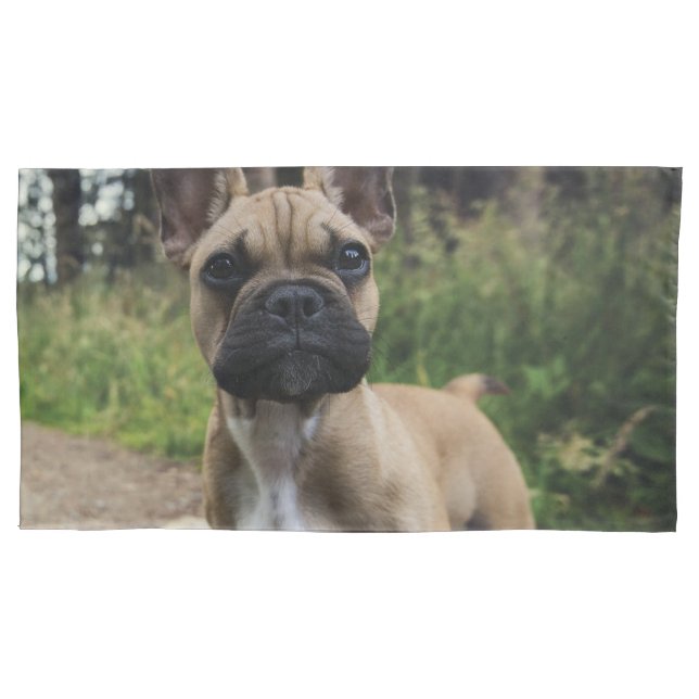 French Bulldog Throw Pillow Pillowcase (Front)