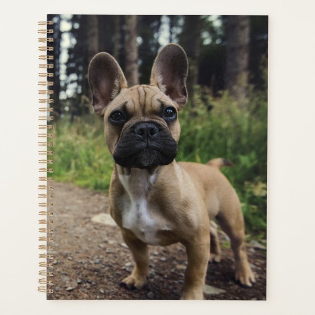 French Bulldog Throw Pillow Planner (Front)