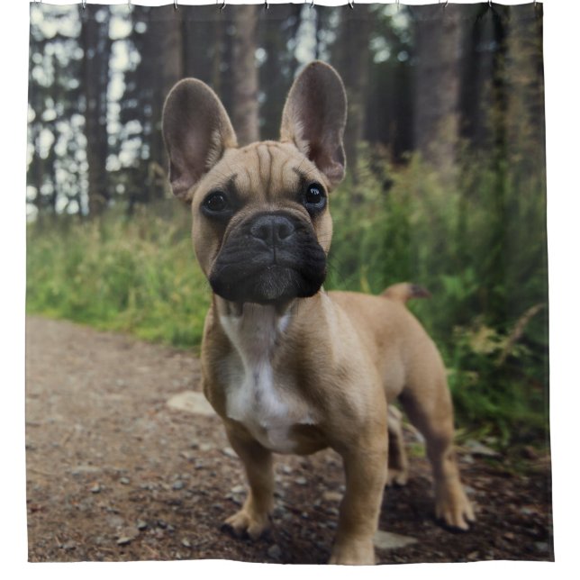 French Bulldog Throw Pillow Shower Curtain (Front)