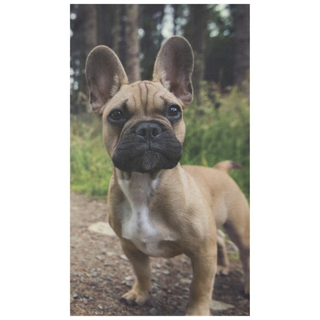 French Bulldog Throw Pillow Tablecloth (Front)