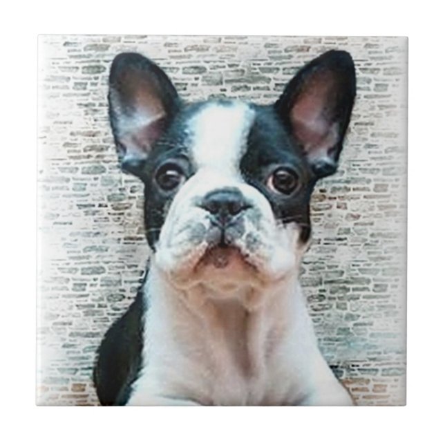 French Bulldog Tile (Front)