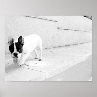 French bulldog tongue out poster
