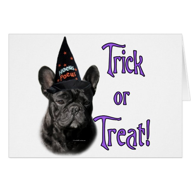 French Bulldog Trick (Front Horizontal)