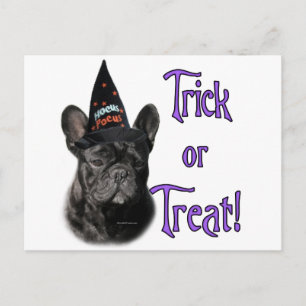 French Bulldog Trick Postcard