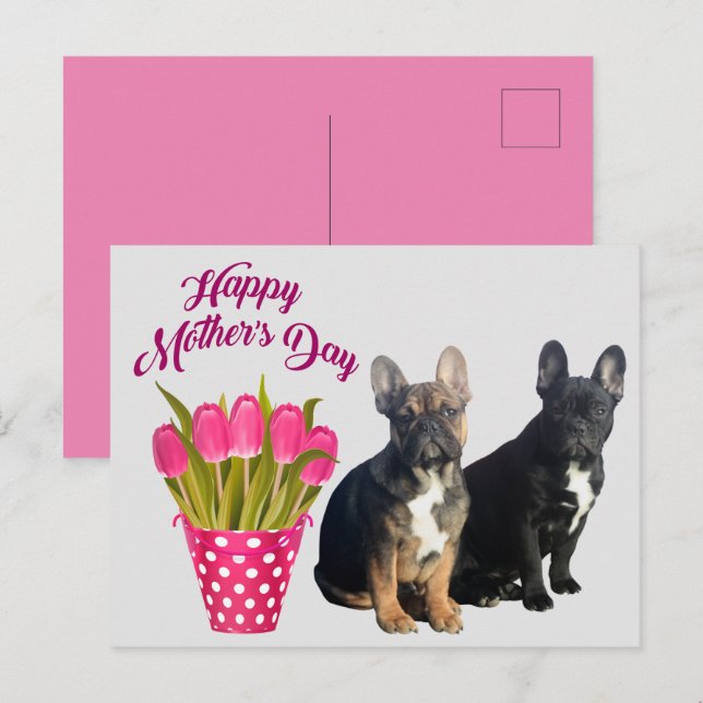 French Bulldog Tulips French Bulldog Postcard (Front/Back)