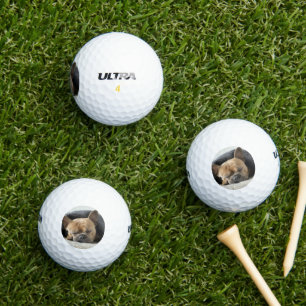 french bulldog under blanket golf balls