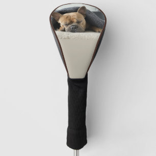 french bulldog under blanket golf head cover