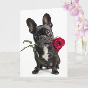 French Bulldog Valentine – Big Love, Sweet Charm Card