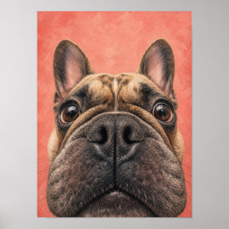 French Bulldog Wall Art — Funny Big Nose Close-Up