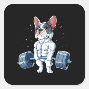 French Bulldog Weightlifting Funny Deadlift Gym Square Sticker