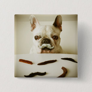 French Bulldog With A Moustache 15 Cm Square Badge