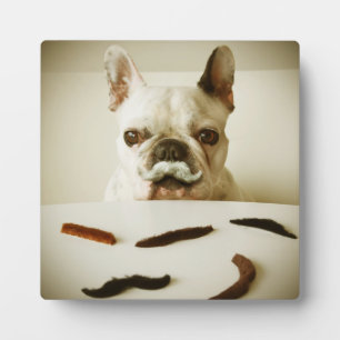 French Bulldog With A Moustache Plaque