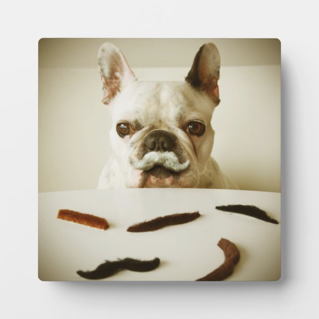 French Bulldog With A Moustache Plaque (Front)