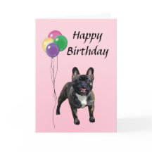 French Bulldog with Balloons Happy Birthday