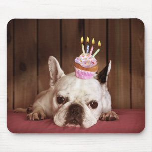 French Bulldog With Birthday Cupcake Mouse Pad